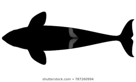 the silhouette of a fish on a white background