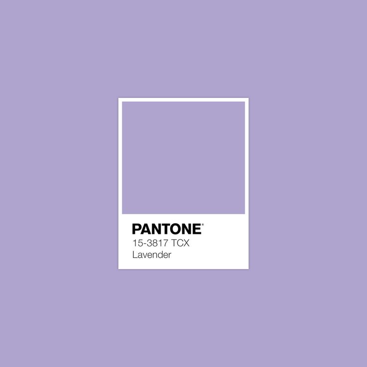 pantone's new color scheme is called grand flush, which features lavender hues