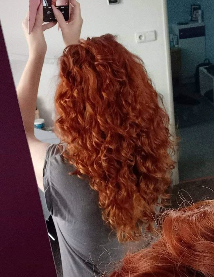 Frizzy Ginger Hair, Wavy Red Hair Natural, Curled Ginger Hair, Curly Ginger Hair Aesthetic, Long Curly Ginger Hair, Curly Red Hair Aesthetic, Dark Ginger Curly Hair, Copper Hair Curly, Ginger Wavy Hair