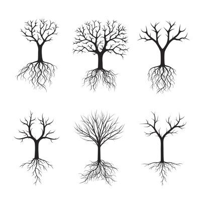 six different trees with roots on white background