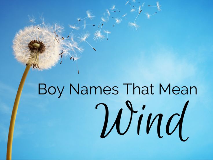 a dandelion with the words boy names that mean wind