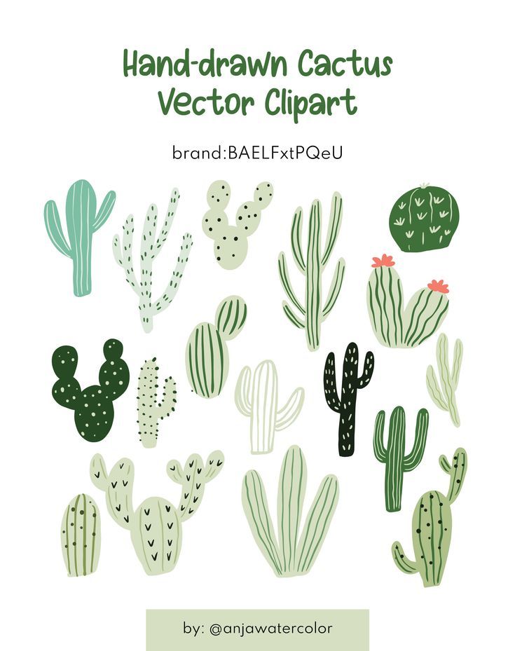 the hand drawn cactus clipart is shown in green and white, with various cacti