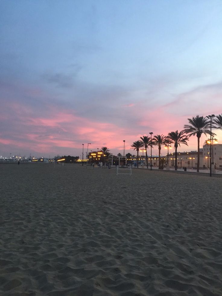 a beach with palm trees in the foreground and a pink sky at sunset behind it