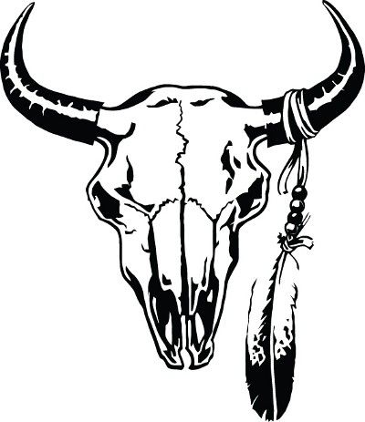 a bull skull with feathers on it's head