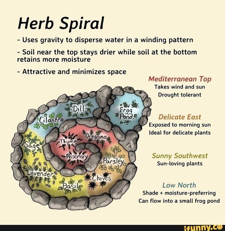 Herb Spiral With Pond, Herbal Spiral Garden, Herb Spiral Layout, Field Garden Ideas, Apothecary Garden Layout, Spiral Herb Garden Ideas, Outdoor Herb Garden Design, House Planting Ideas, Herb Garden Container Ideas