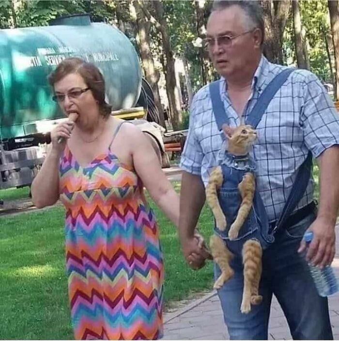 a man and woman walking down a sidewalk holding cats