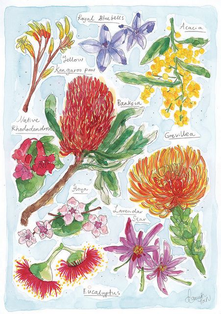 an illustration of different types of flowers