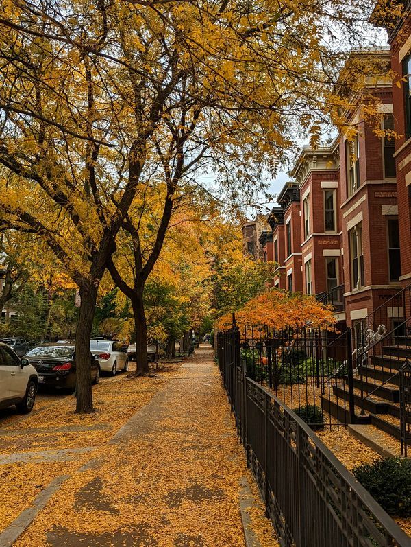 an autumn scene with leaves on the ground and trees lining the street in front of brick buildings