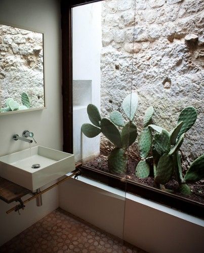 a bathroom with a sink, mirror and cactus plant in it's window sill