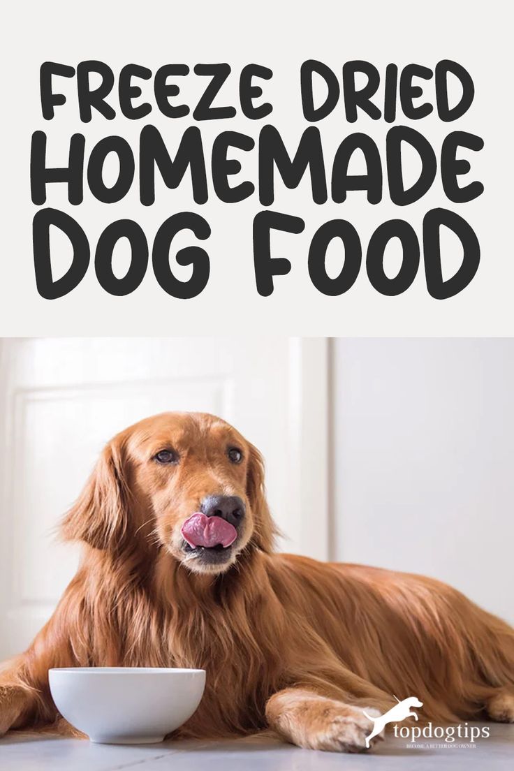 Freeze Dried Homemade Dog Food Dog Snacks Recipes, Dog Food Homemade, Freeze Dried Food Storage, Freeze Dried Dog Treats, Dehydrated Dog Food, Dog Food Recipe, Freeze Dried Dog Food, Diy Dog Food, Frozen Dog Treats