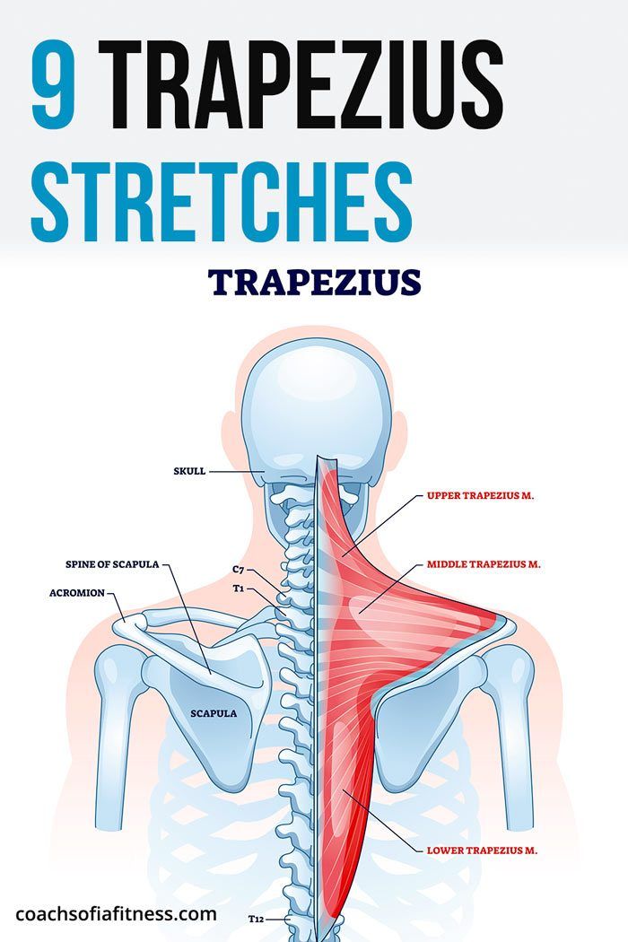 the back view of a man's neck and shoulder with text that reads 9 trapezus stretches