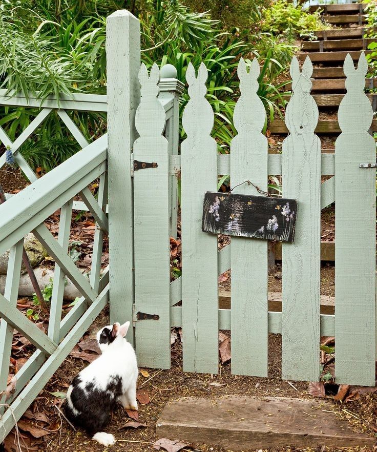 a black and white cat sitting in front of a gate