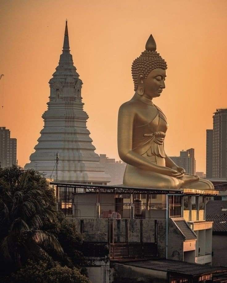 a large golden buddha statue sitting on top of a building