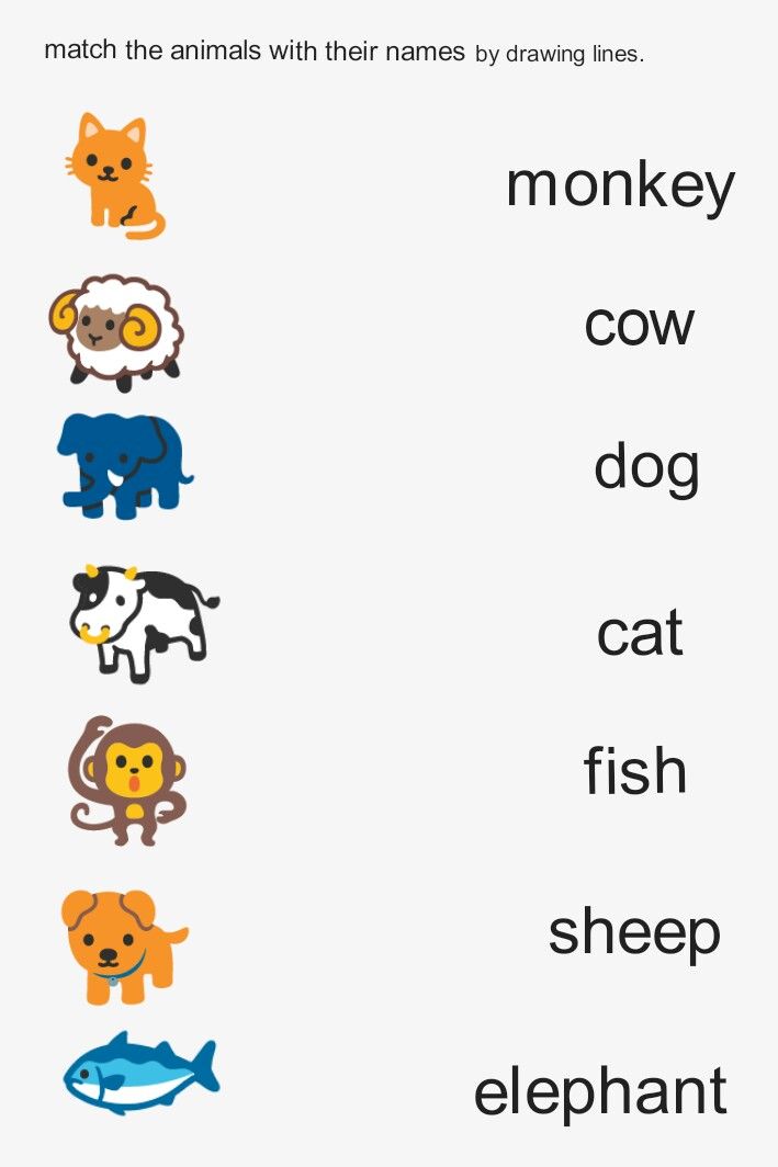 an animal worksheet with the words monkey, cow, fish, and elephant