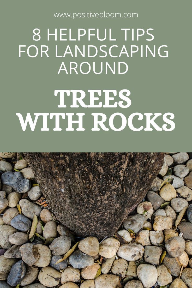 Check out these simple tips for landscaping around trees with rocks and discover some amazing designs you can incorporate into your backyard. Rocked Front Yard Landscaping Ideas, Pebbles Around Tree, How To Decorate Around A Tree Outside, Rock Landscaping Around Trees, Rock Barrier Landscaping, Tree Base Ideas Outdoor, Rock Wall Around Tree, Rock Bed Around Tree, Borders Around Trees