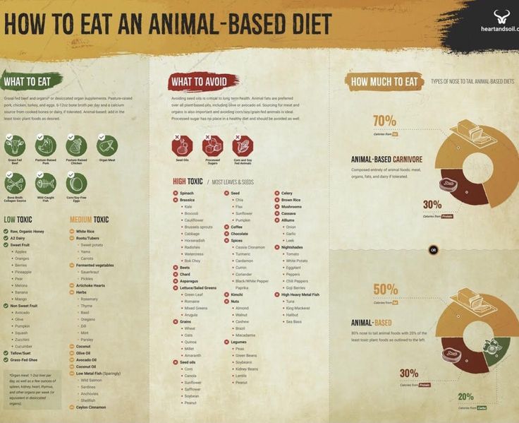 Animal Based Diet, Ancestral Nutrition, Animal Based, Eat Beef, Toxic Foods, Grass Fed Butter, Diet Food List, Grass Fed Beef, Diet Keto