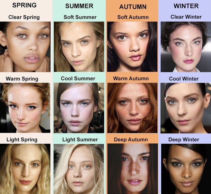 Makeup For Cool Skin Tones, Color Analysis Chart, Colour Season Analysis, Summer Palette Colors, Cool Summer Color Palette, Season Palette, Season Analysis, Winter Skin Tone, Personal Color Analysis