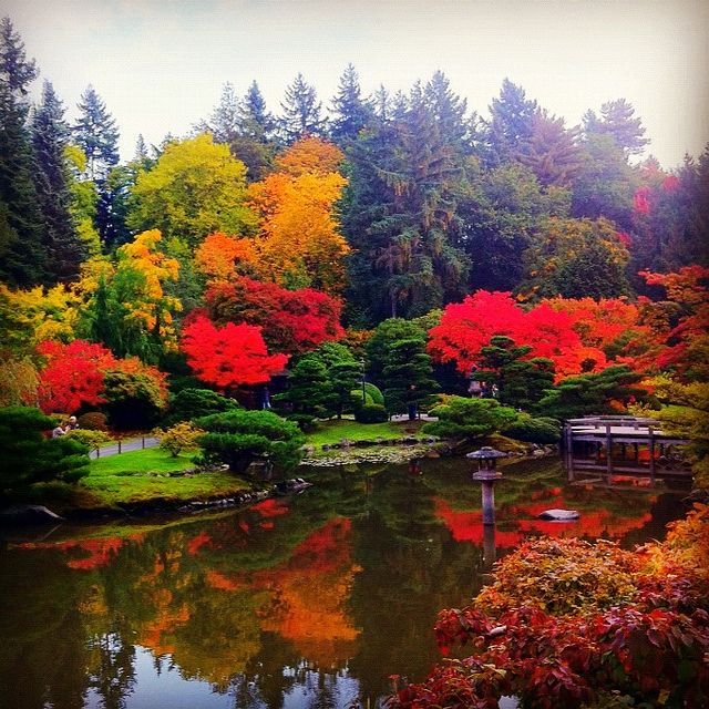 a pond surrounded by trees with red and yellow leaves