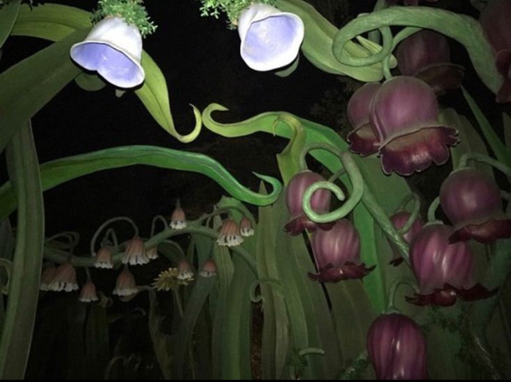 the flowers are blooming in the garden at night