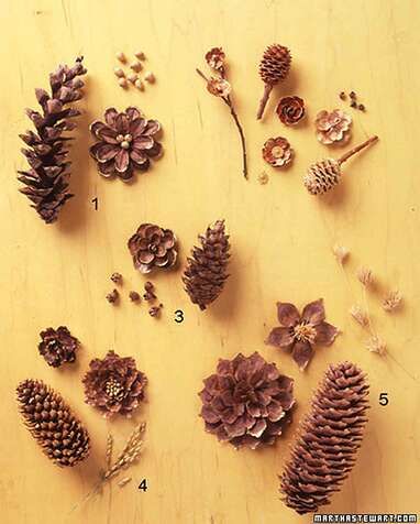 pine cones and flowers are arranged on a table