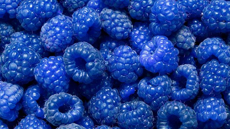 blue raspberries are piled up together