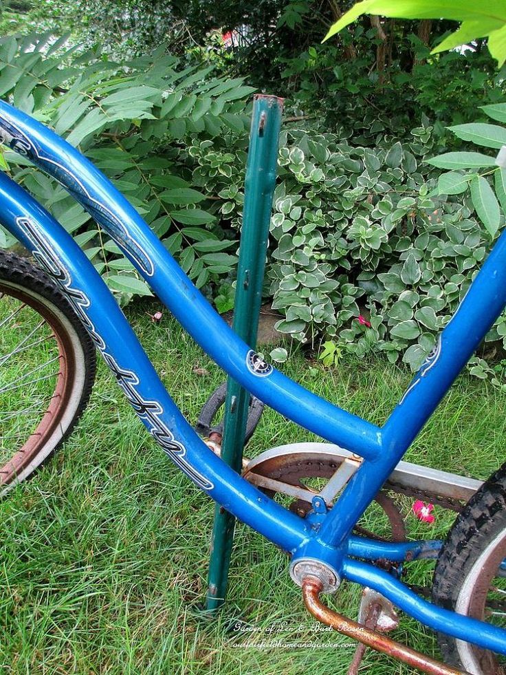 a blue bicycle is parked in the grass