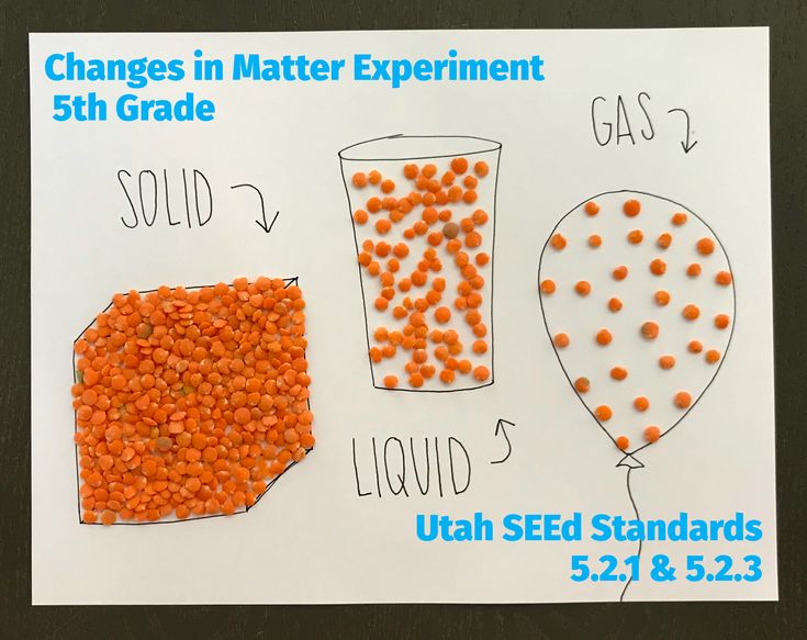 an image of different types of food on a white board with text that reads changes in matter experiment 5th grade