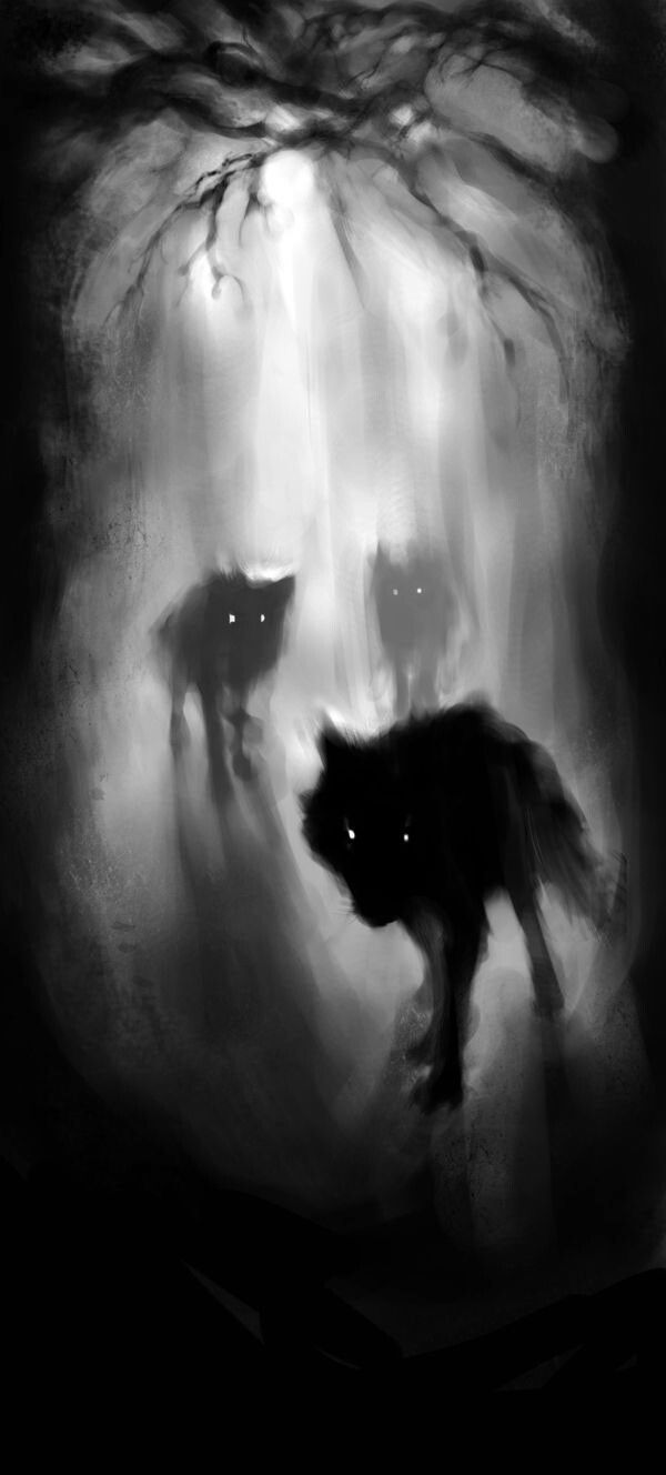 two wolfs are walking through the woods in front of some trees and one is looking at something