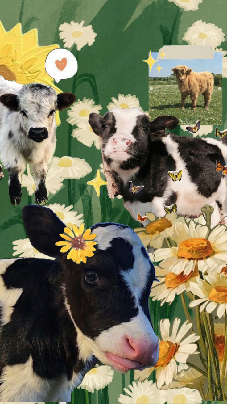 a collage of cows, daisies and sunflowers on a green background