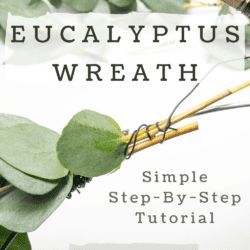 an image of eucalyptus plant with the words eucalyptusplus wreath on it's side