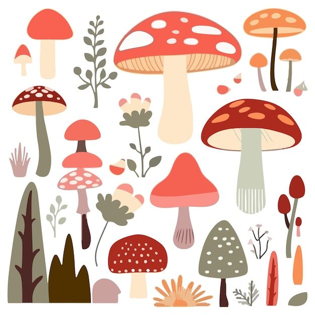 various mushrooms and plants on a white background