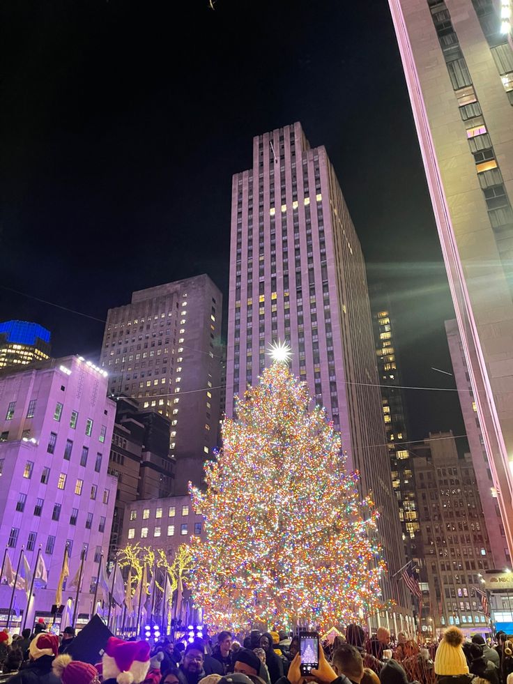 a large christmas tree is lit up in the city