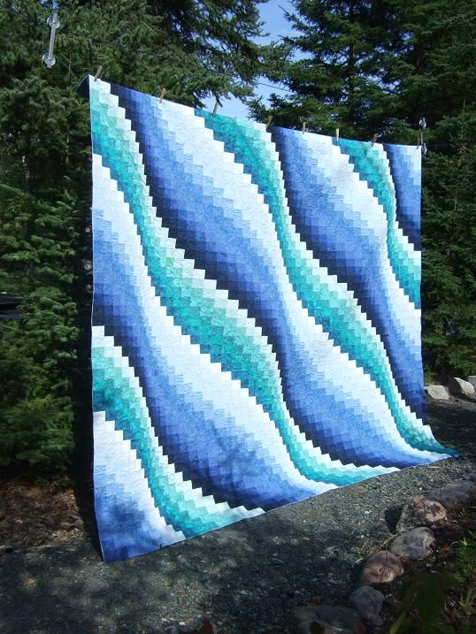 a blue and white quilt is hanging on a clothesline in front of some trees