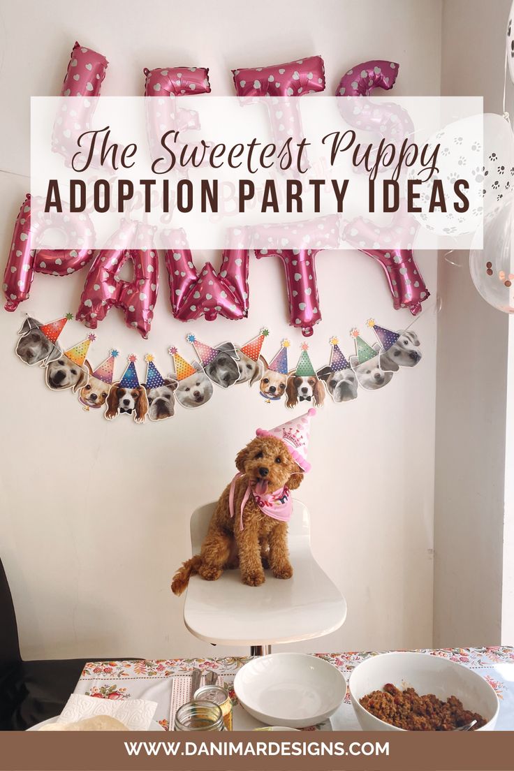 a dog sitting on a chair in front of a table with balloons and streamers that say the sweetest puppy adoption party ideas