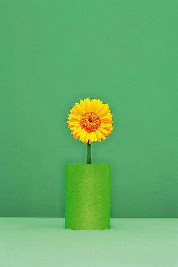 a yellow flower sitting in a green vase