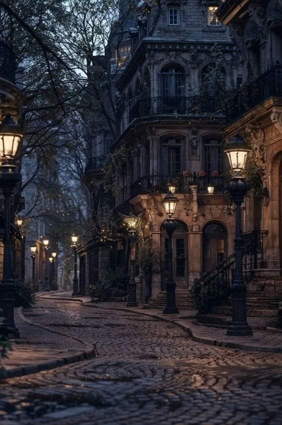 an empty cobblestone street at night with lights on the buildings and trees in the background