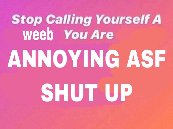 the words stop calling yourself a web you are annoying asf shut up on an orange and pink background