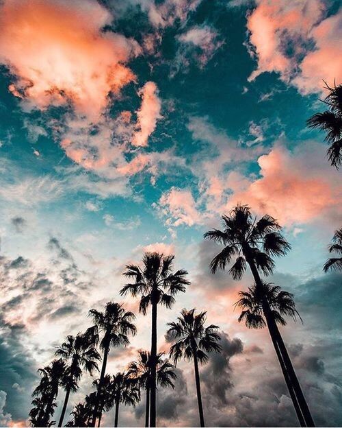 the sky is filled with clouds and palm trees