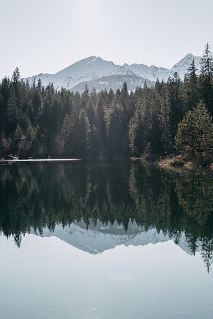 a lake surrounded by trees and mountains in the background