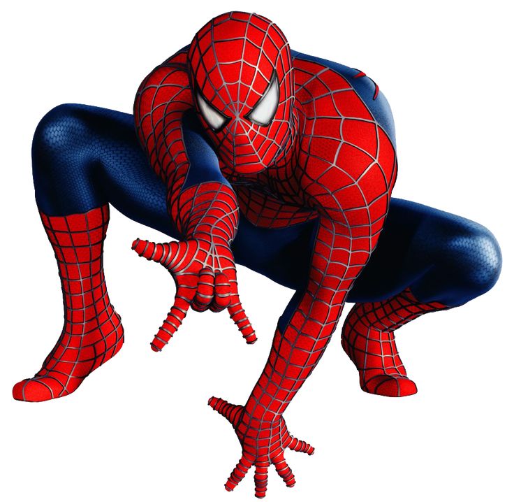 the amazing spider man from the animated movie