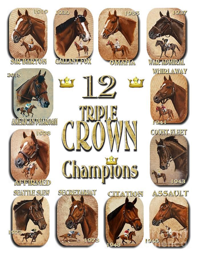 twelve horse drawn by numbers with the words 12 triple crown and their names in gold