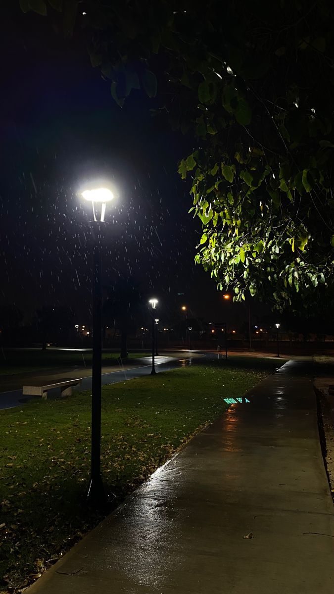 a street light sitting on the side of a lush green field at night with rain coming down