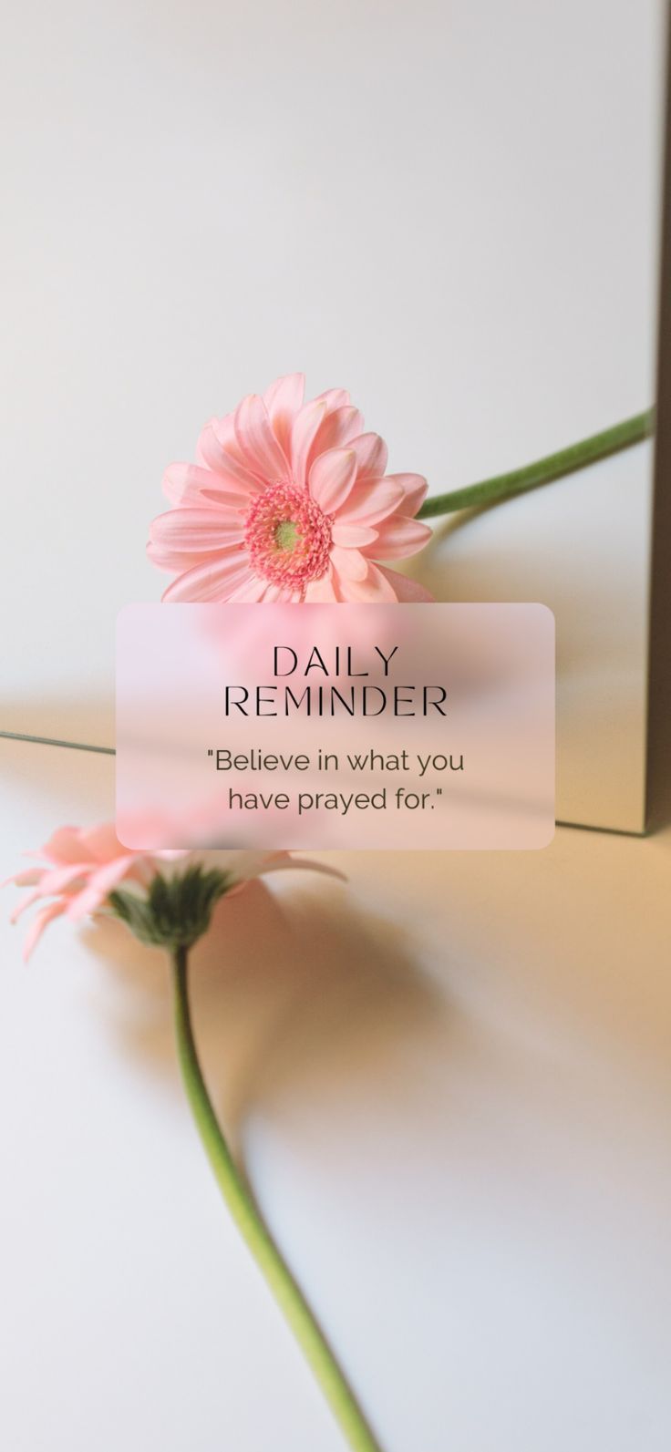 a pink flower sitting on top of a white table next to a card that says, daily reminder believe in what you have praying for