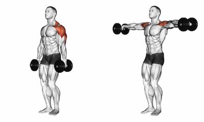 Arm Training, Back And Shoulder Workout, How To Get Faster, Dumbbell Shoulder Press, Best Shoulder Workout, Muscle Hypertrophy, Front Raises, Training Exercises, Lateral Raises