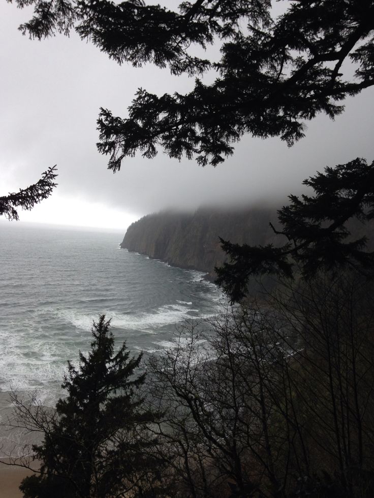 the ocean is surrounded by trees and fog