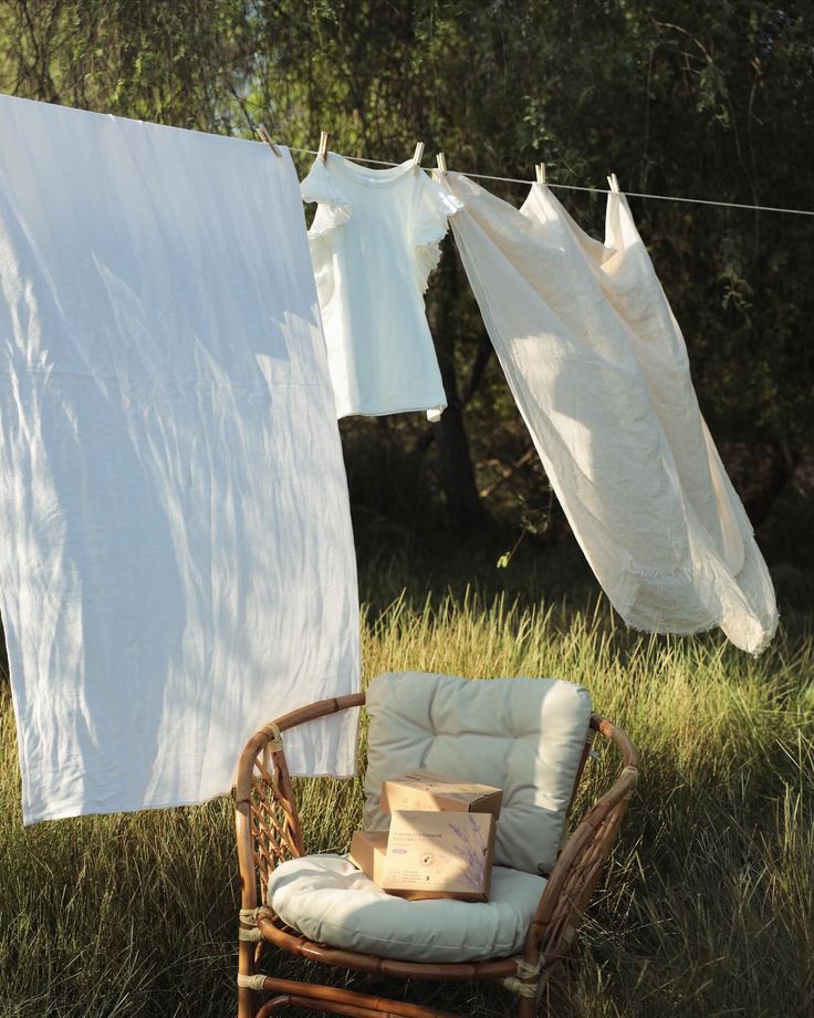 a chair sitting in the grass next to some laundry hanging on a clothes line and an old chair with a pillow