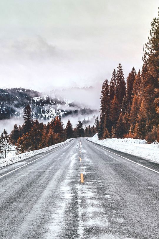 an empty road surrounded by snow and trees