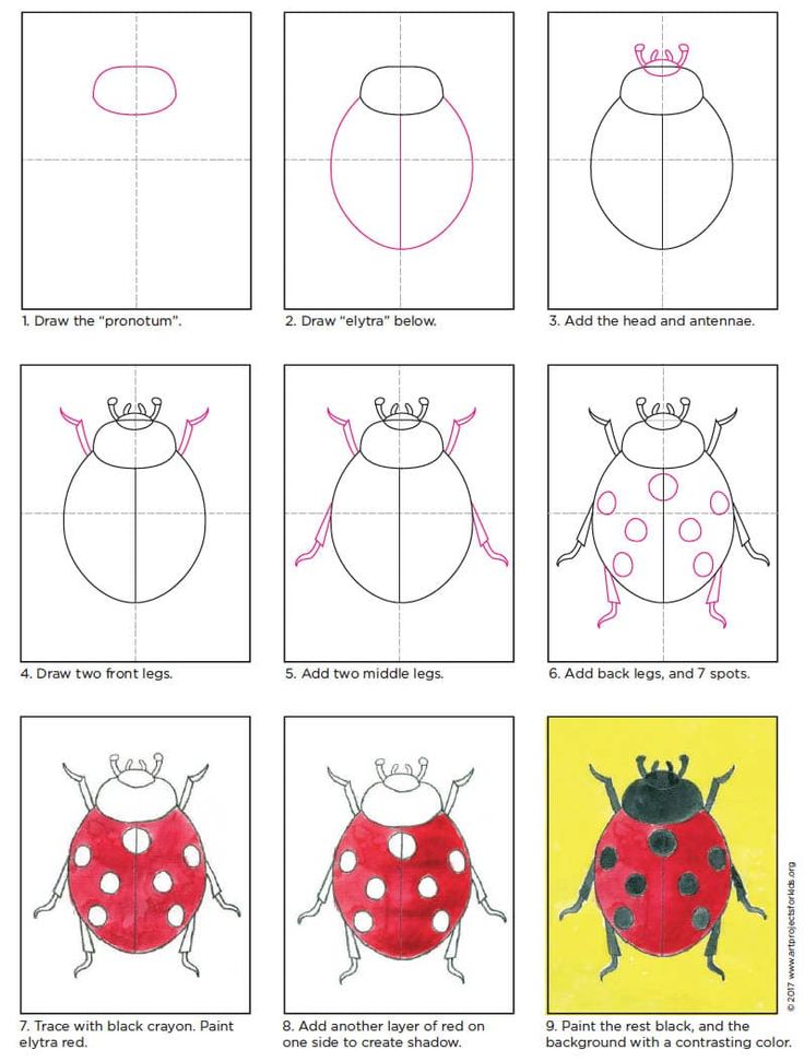 how to draw a ladybug step by step instructions for kids and beginners