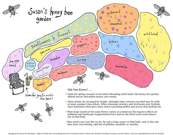 the website for susan's honey bee garden is shown with bees and other insects