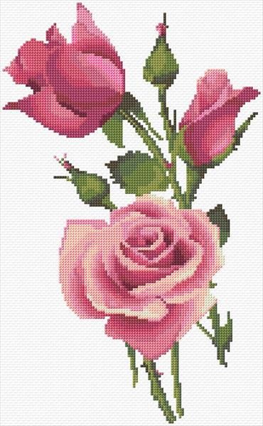 three pink roses are shown in this cross stitch pattern